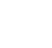 shop-icon